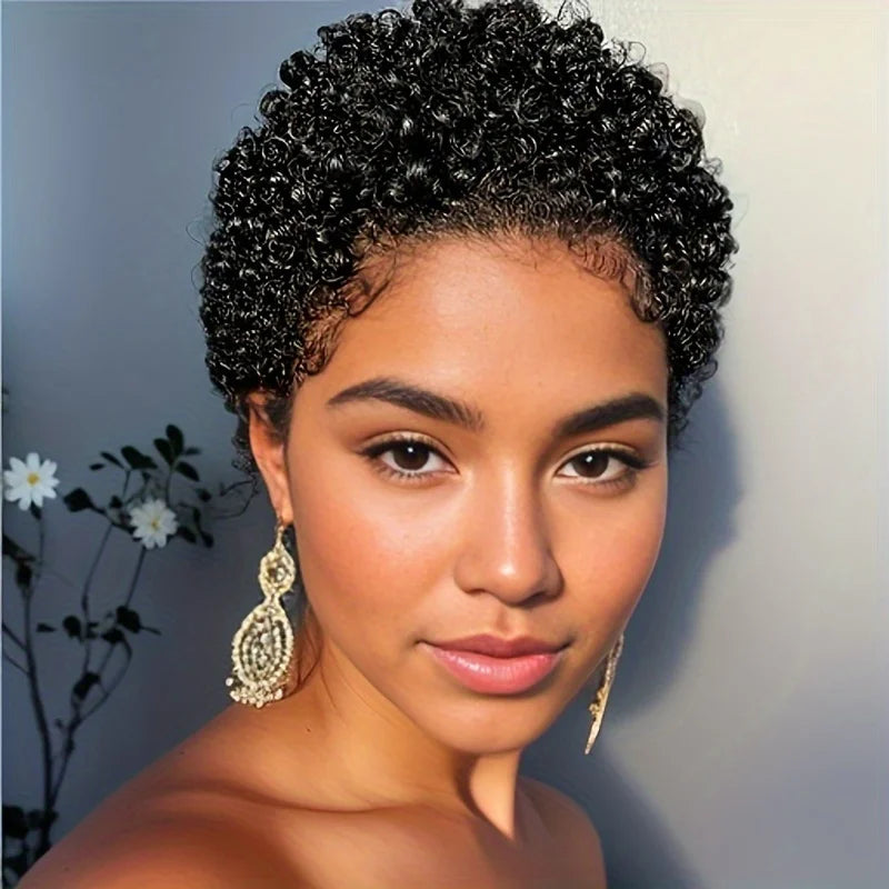 Short Afro Curly Human Hair Wig