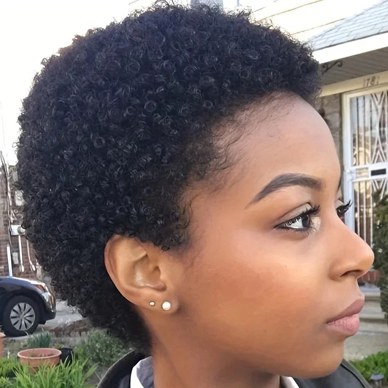 Short Afro Curly Human Hair Wig