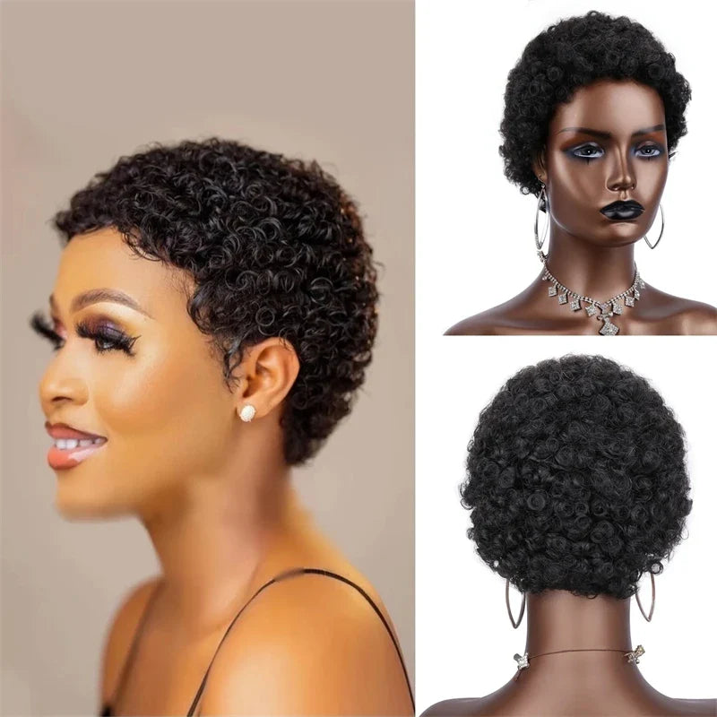Short Afro Curly Human Hair Wig